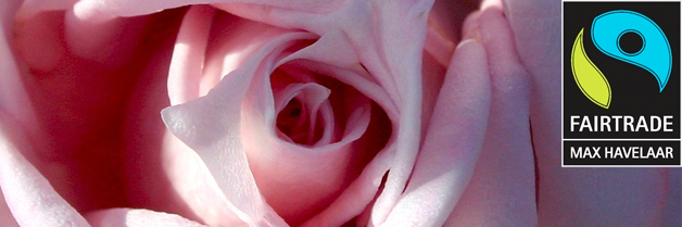 Fair Winkelen | Stuurbloemen