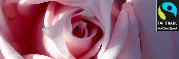 Fair Winkelen | Stuurbloemen