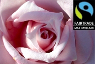 Stuurbloemen Fair Winkelen