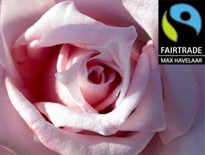 Stuurbloemen Fair Winkelen