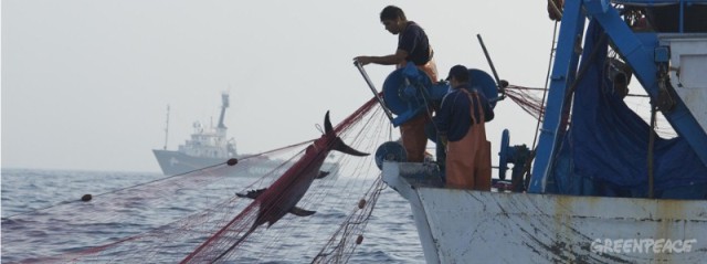 Tonijn Fair Winkelen