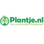 Plantje 300 300 fw